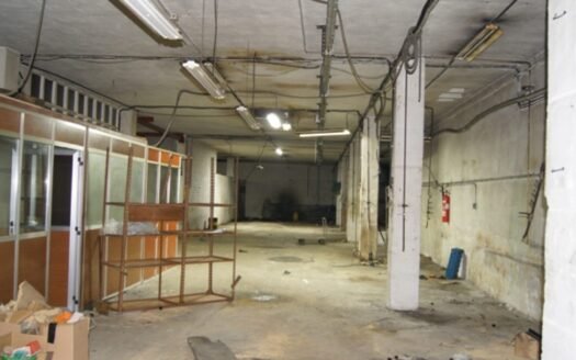 Nave Industrial bien situada (1064-B)