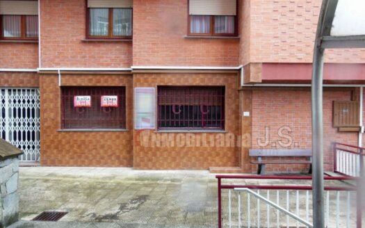 Zona Centro (1252-B)