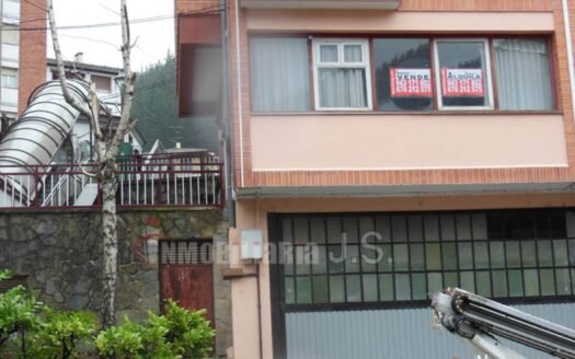 Zona Centro (1252-B)