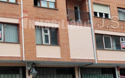 Zona Centro (1252-B)