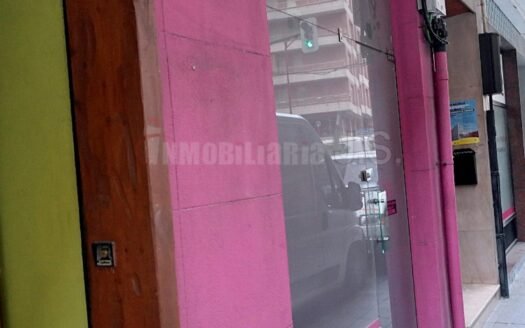 Zona Centro (1562-B)