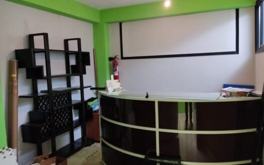 Zona Centro (1251-B)