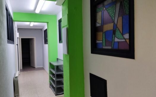 Zona Centro (1251-B)