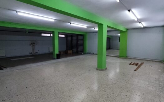 Zona Centro (1251-B)