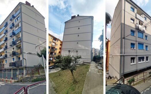 Zona Zerukoa (1900-B)